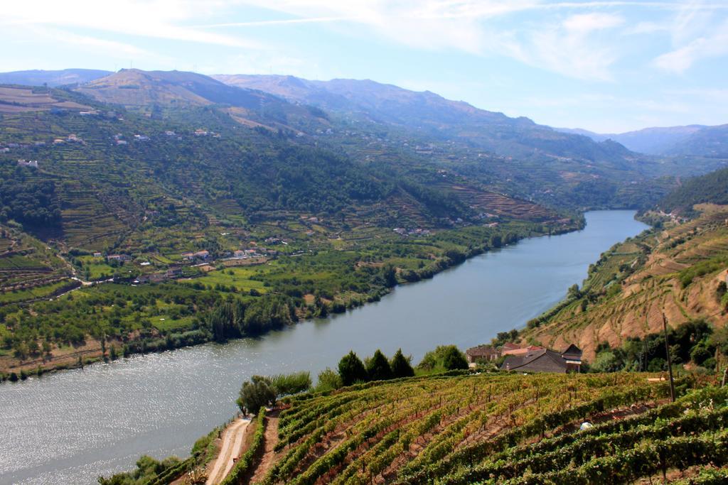 Camping Lamego Douro Valley Exteriér fotografie