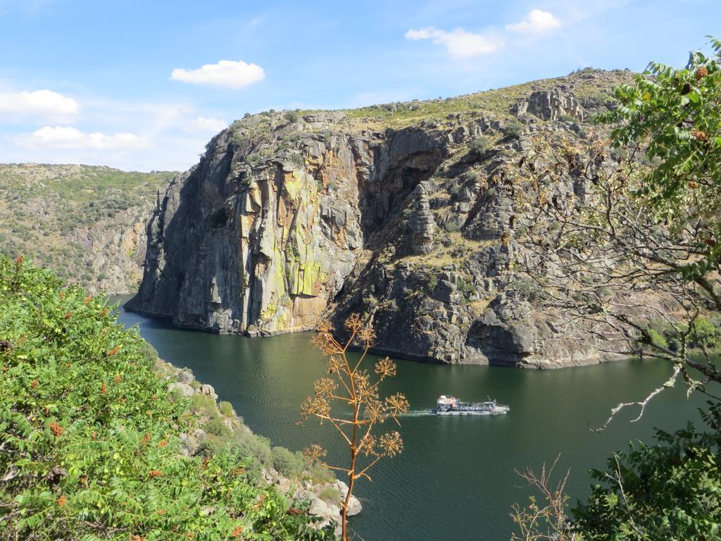 Camping Lamego Douro Valley Exteriér fotografie