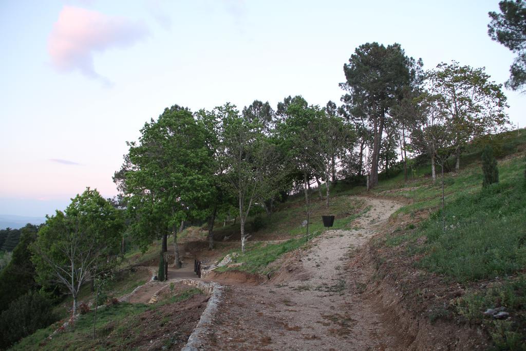 Camping Lamego Douro Valley Exteriér fotografie