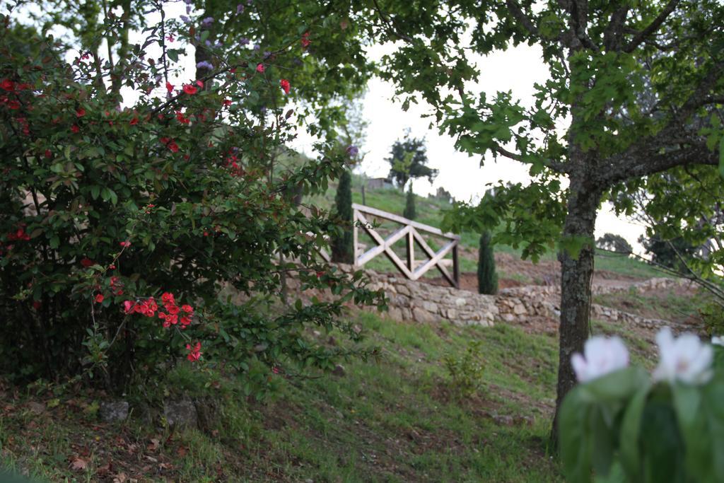 Camping Lamego Douro Valley Exteriér fotografie