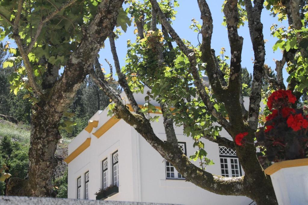 Camping Lamego Douro Valley Exteriér fotografie